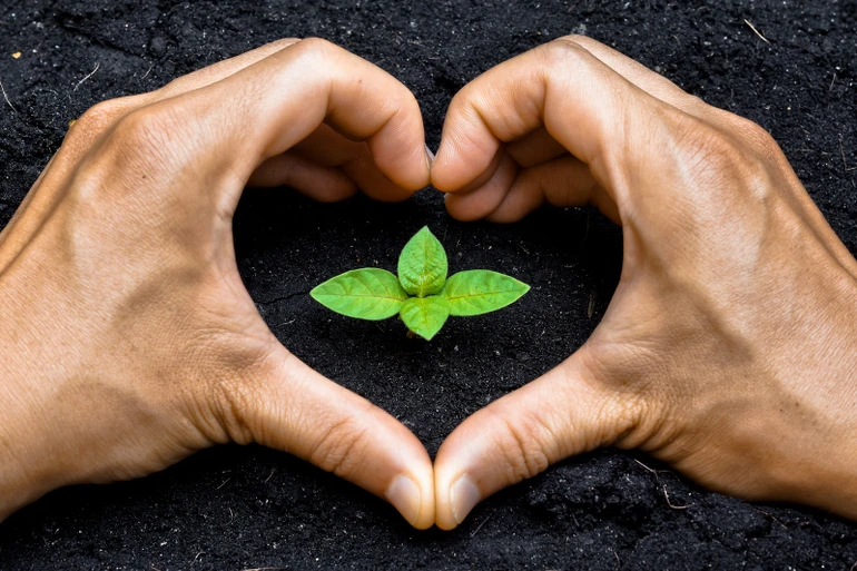 “Một đốm lửa sân có thể thiêu rụi cả rừng công đức”